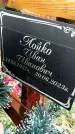 Захоронение ID 1342160