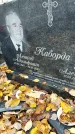 Захоронение ID 1342507