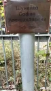 Захоронение ID 1342542