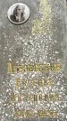 Захоронение ID 1342580