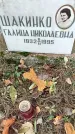 Захоронение ID 1342646