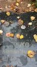 Захоронение ID 1342744