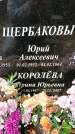 Захоронение ID 1342776