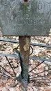 Захоронение ID 1342865