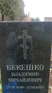 Захоронение ID 1342930