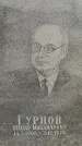 Захоронение ID 1342949