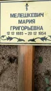 Захоронение ID 1342995