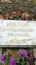 Захоронение ID 1343005