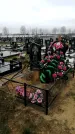 Захоронение ID 1343039