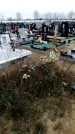 Захоронение ID 1343051