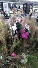 Захоронение ID 1343179