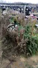 Захоронение ID 1343217