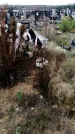 Захоронение ID 1343271