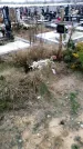Захоронение ID 1343288