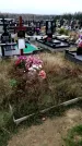 Захоронение ID 1343298
