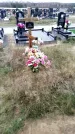 Захоронение ID 1343351