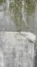 Захоронение ID 1343456