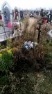 Захоронение ID 1343596