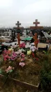Захоронение ID 1343824