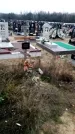 Захоронение ID 1343837