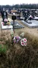Захоронение ID 1343840