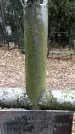 Захоронение ID 1343890