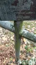 Захоронение ID 1343891
