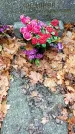 Захоронение ID 1344036