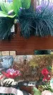 Захоронение ID 1344090