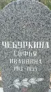 Захоронение ID 1344183