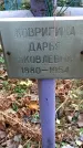 Захоронение ID 1344311