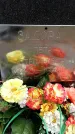 Захоронение ID 1344586