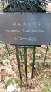 Захоронение ID 1344628