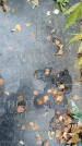 Захоронение ID 1344693