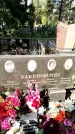 Захоронение ID 1344783