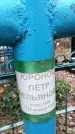 Захоронение ID 1345099