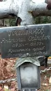 Захоронение ID 1345128