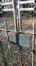 Захоронение ID 1345321