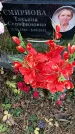 Захоронение ID 1345452