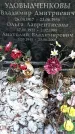 Захоронение ID 1346058