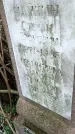 Захоронение ID 1346200
