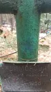 Захоронение ID 1346575