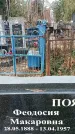 Захоронение ID 1346707