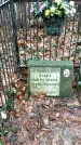 Захоронение ID 1346919
