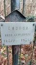 Захоронение ID 1346992