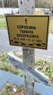 Захоронение ID 1347072