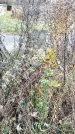 Захоронение ID 1347075