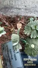 Захоронение ID 1347430