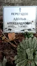 Захоронение ID 1347431