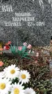 Захоронение ID 1347516